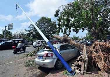 臺(tái)風(fēng)那么大，以后選擇戶外電源變壓器可要悠著點(diǎn)