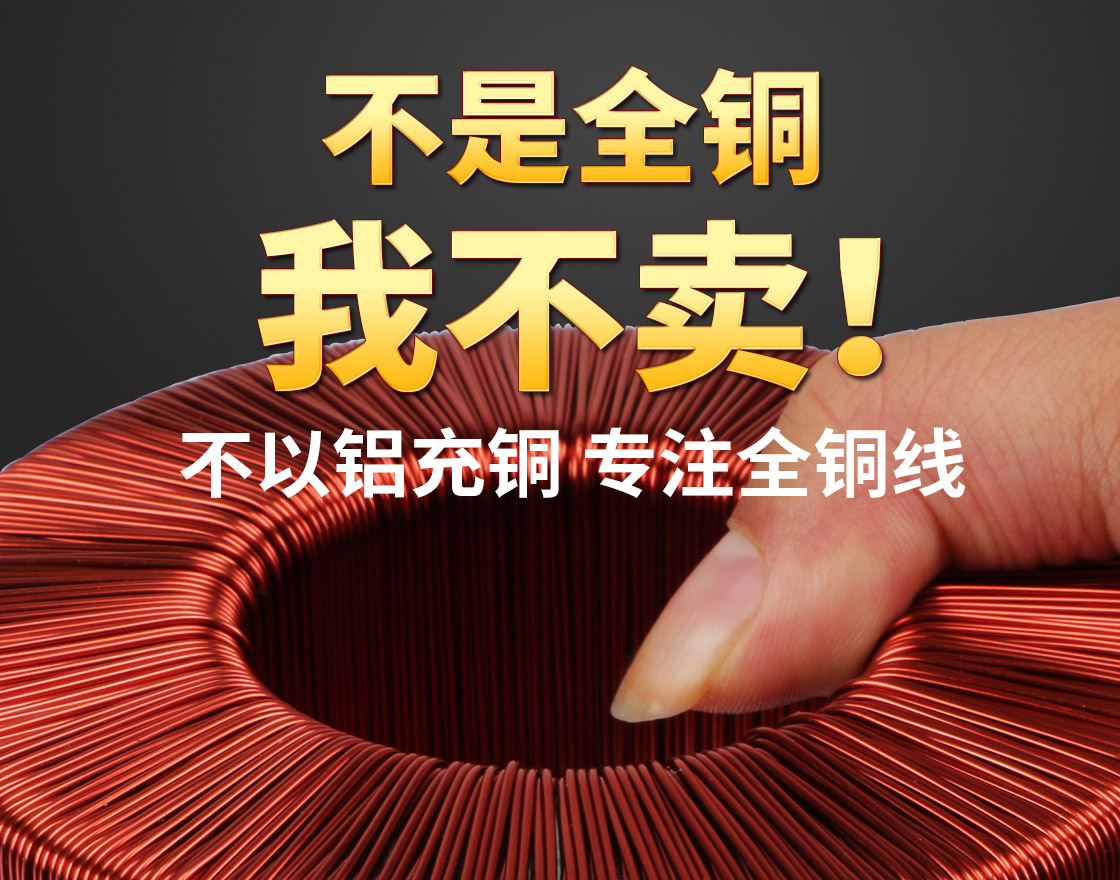 圣元環(huán)形變壓器-日產(chǎn)2000臺